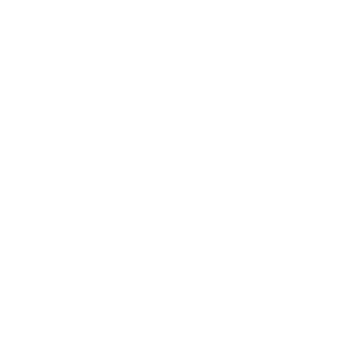 Fifa World Cup