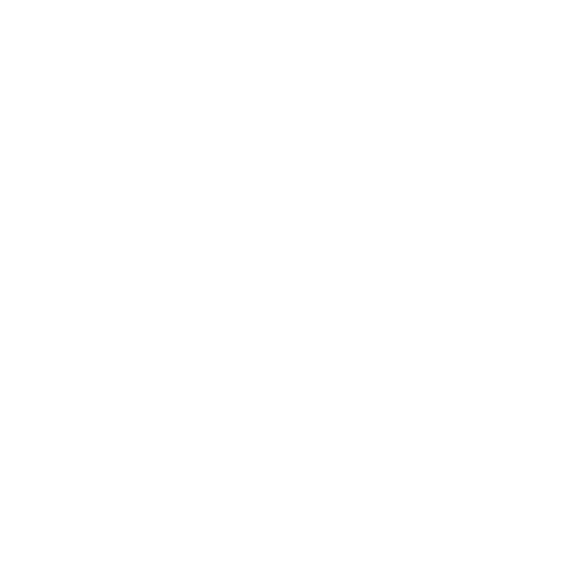 Fifa World Cup